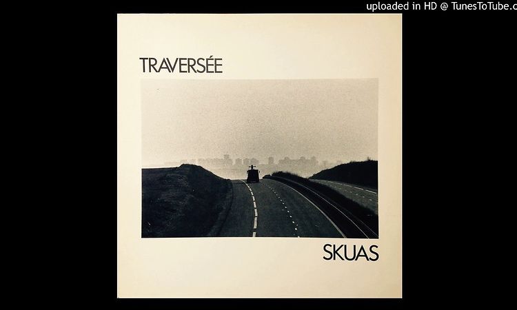 Skuas - Traversée