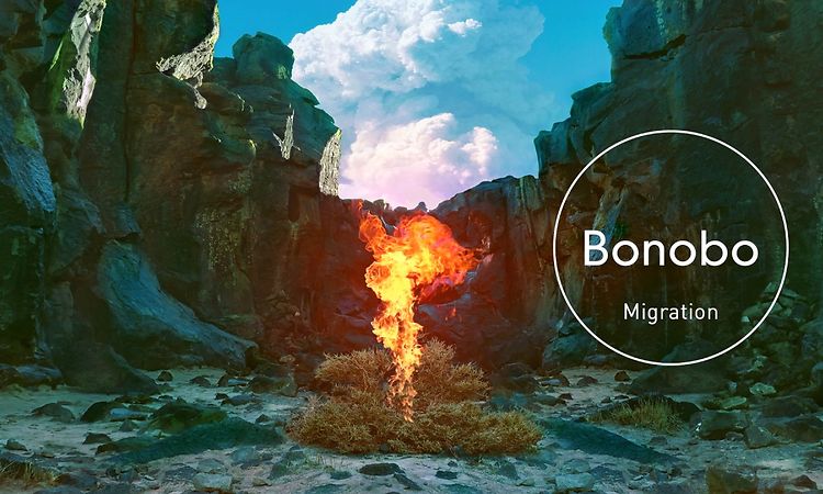 Bonobo : Migration