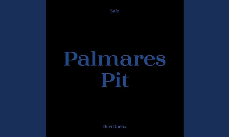 Bert Dockx - Palmares