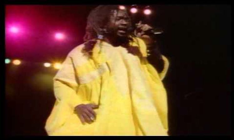 Peter Tosh - Where You Gonna Run ( Live )