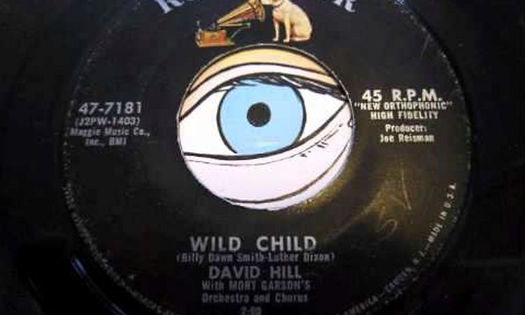 David Hill - Wild Child