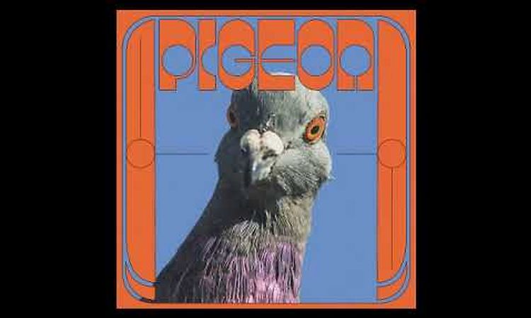 Pigeon - Nothing Grows