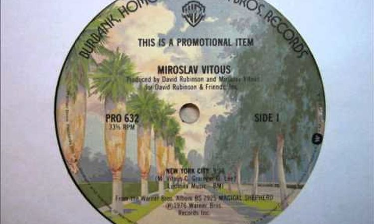 Miroslav Vitous - New York City.wmv