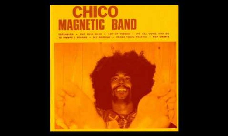 Chico Magnetic Band - Pop Or Not.