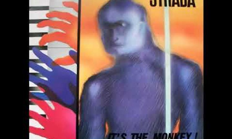 Strada - It's The Monkey!