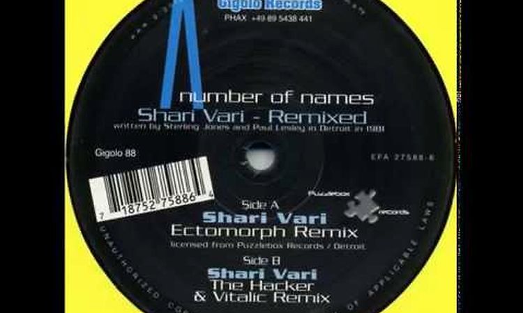 A Number Of Names - Shari Vari (The Hacker & Vitalic Remix)