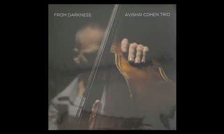 Avishai Cohen Trio  『 From Darkness 』Side B