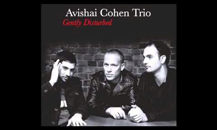 Avishai Cohen - Seattle