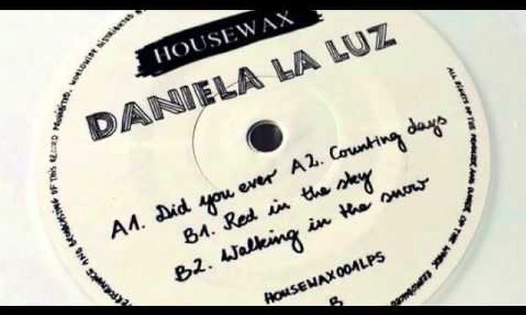 A1. Daniela La Luz - Did You Ever (Original Mix)