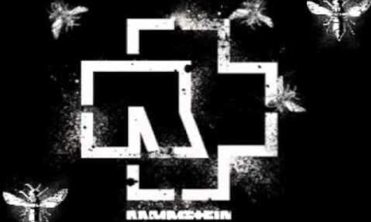 Rammstein - Pussy (with Lyrics)