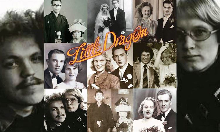 Little Dragon - Brush The Heat