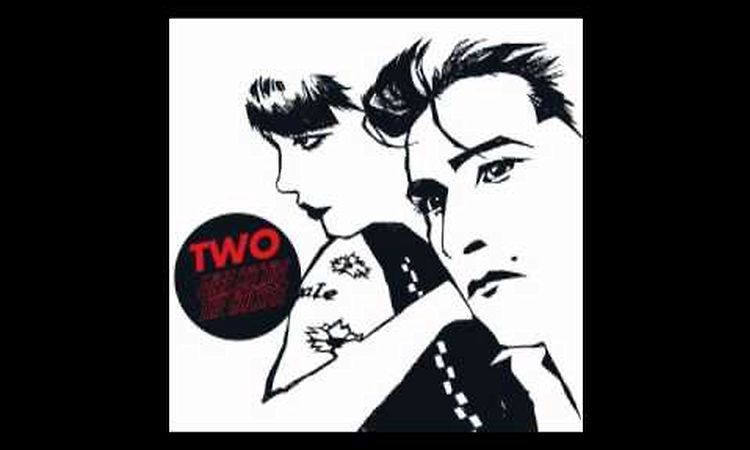 2009: Miss Kittin & The Hacker - Two: Fascinating (digital exclusive)
