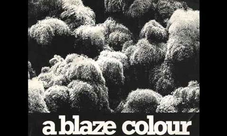 A Blaze Colour - Dark Trees Beyond