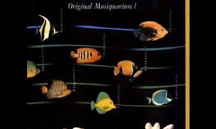 Stevie Wonder  VINYL  -   The Original Musiquarium I   (disc 2 side C) 1982