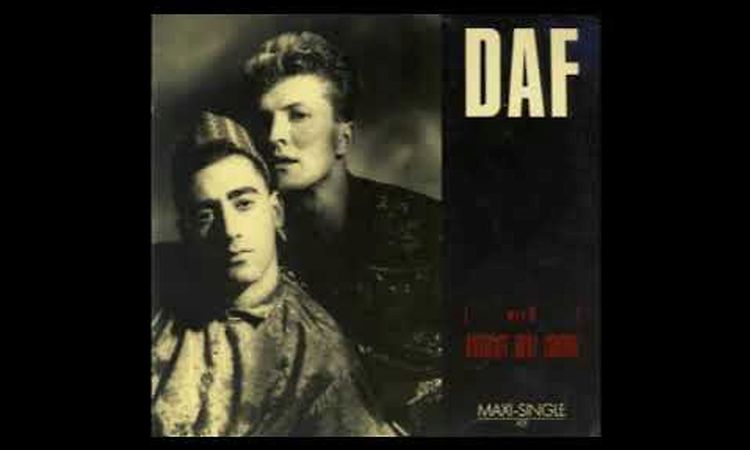 DAF ‎– Absolute Body Control (A) 1985