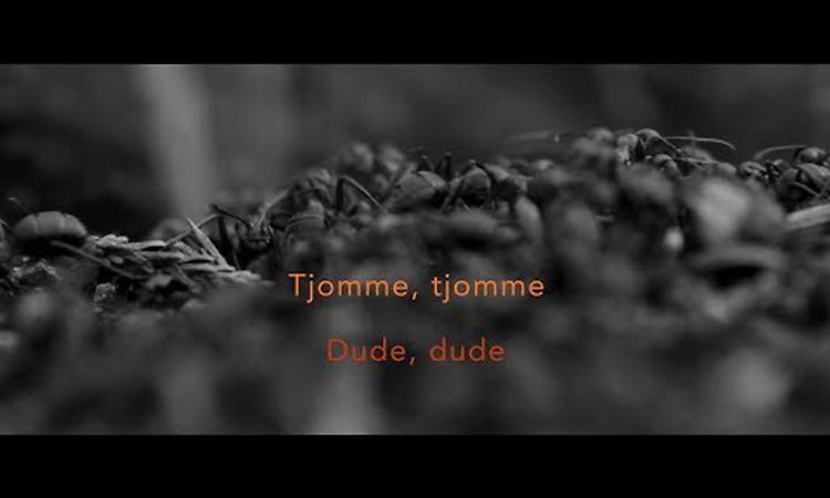 José González - Tjomme (Lyric Video)