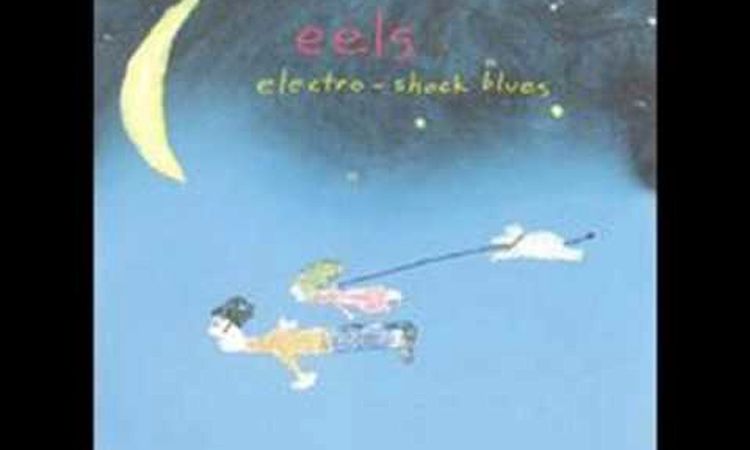 Eels - Electro Shock Blues