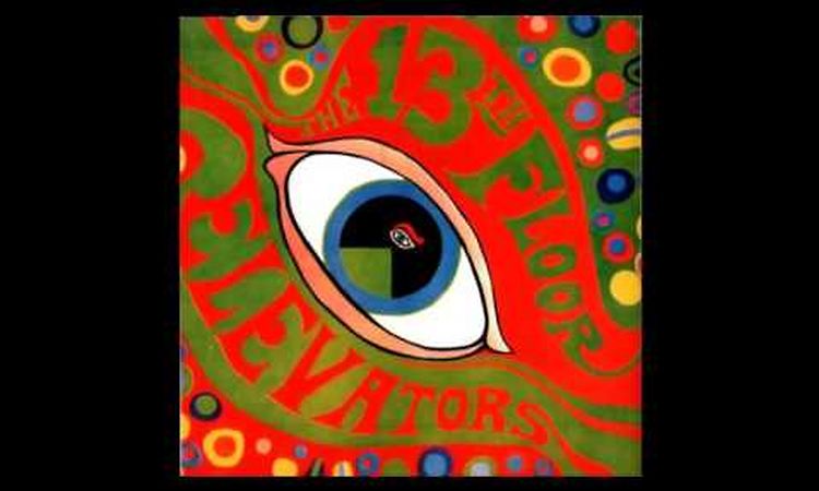 The 13th Floor Elevators - Your Gonna Miss Me