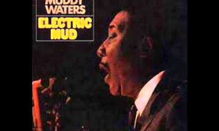 MUDDY WATERS - Tom Cat PSYCH/BLUES (1968)