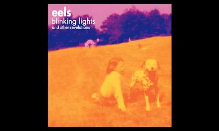 Eels - Railroad Man (Blinking Lights and Other Revelations) HQ
