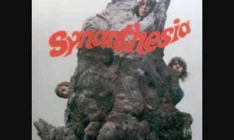 Synanthesia - The Tale of the Spider and the Fly