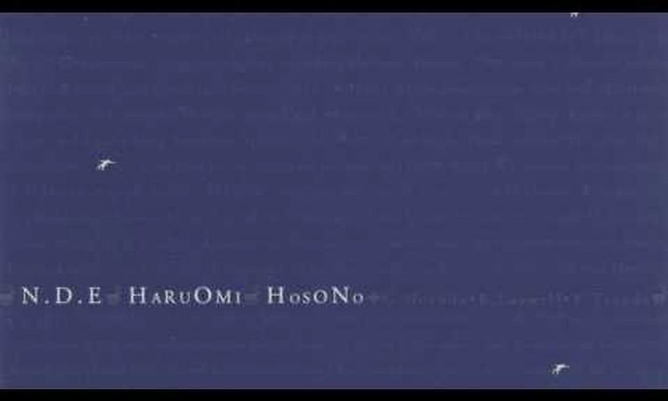 Haruomi Hosono ~ Edge of the End