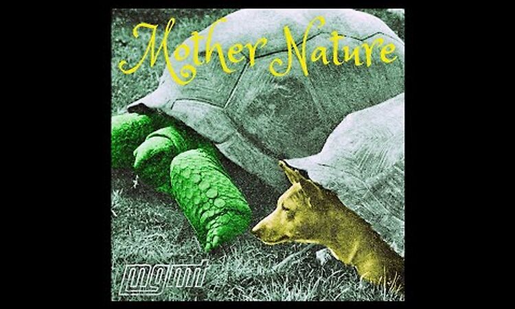 MGMT - Mother Nature