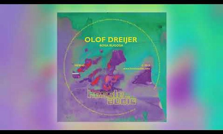 Olof Dreijer - Rosa Rugosa [Hessle Audio]