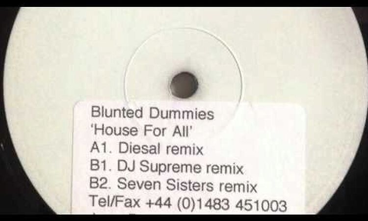 Blunted Dummies - House for All (Diesal Remix)