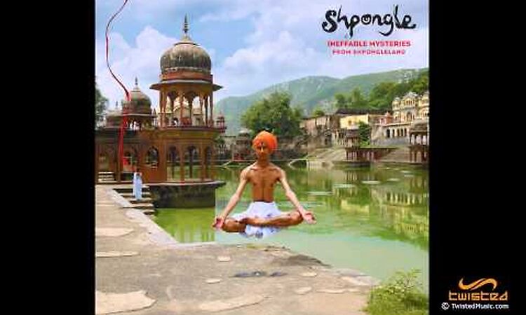 Shpongle - Nothing Is Something Worth Doing