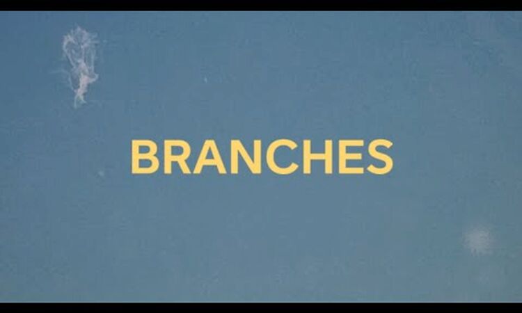 Mooneye - Branches