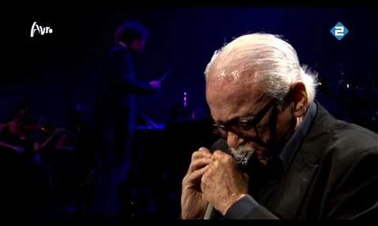 Toots Thielemans - Bluesette