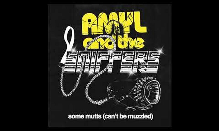 Amyl and the Sniffers - Some Mutts  Official Audio