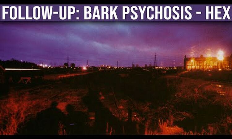 FOLLOW-UP: Bark Psychosis — Hex