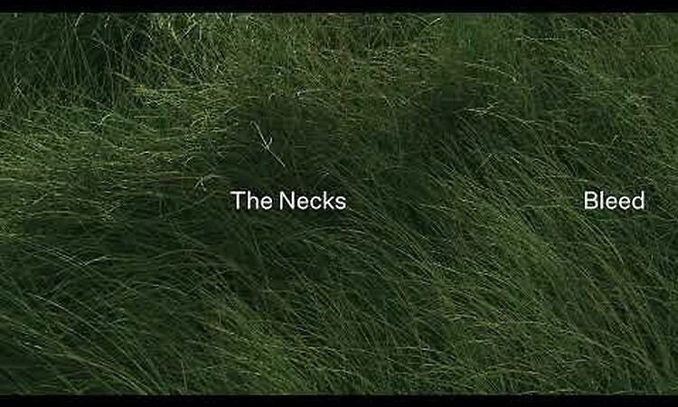 The Necks 'Bleed' excerpt (60 seconds)