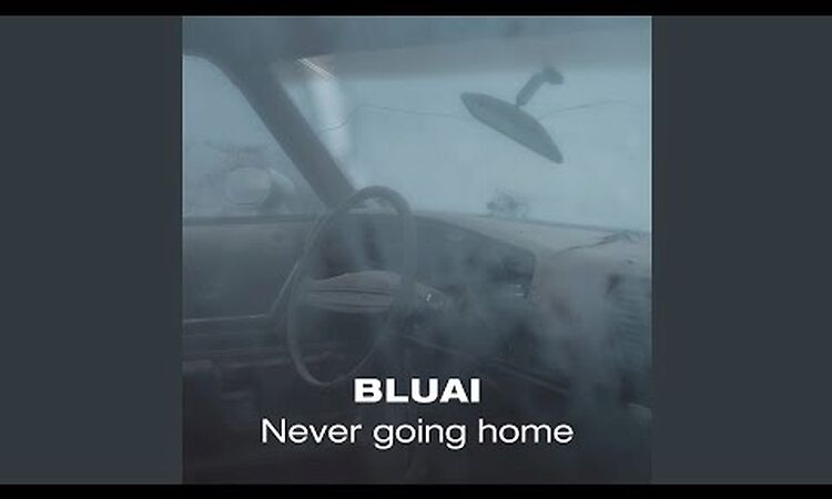 BLUAI - Never Going Home