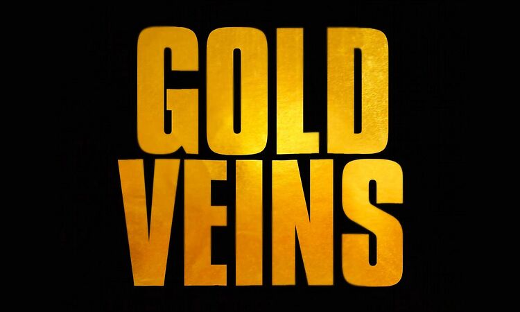 Glints - Gold Veins (Official Video)