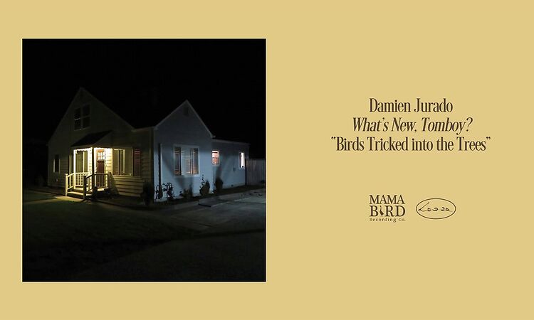 Damien Jurado - "Birds Tricked into the Trees" (Art Track)