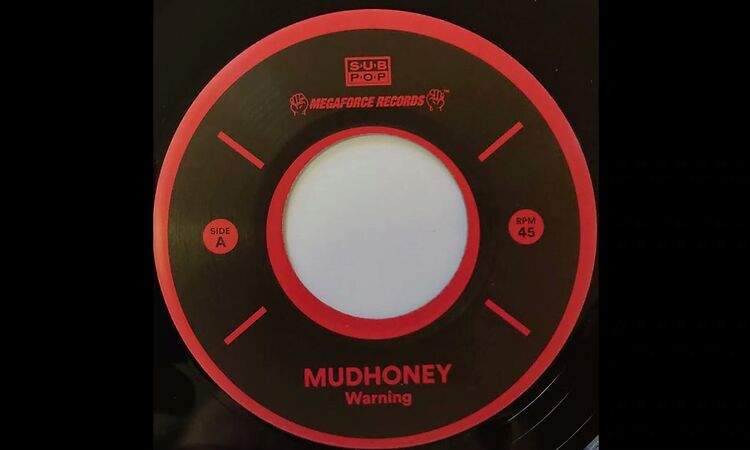 Mudhoney ("Warning")/Meat Puppets ("One Of These Days") 2021 Record Store Day 7"