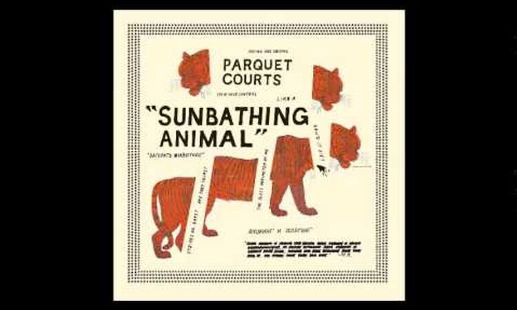 Parquet Courts - Ducking & Dodging