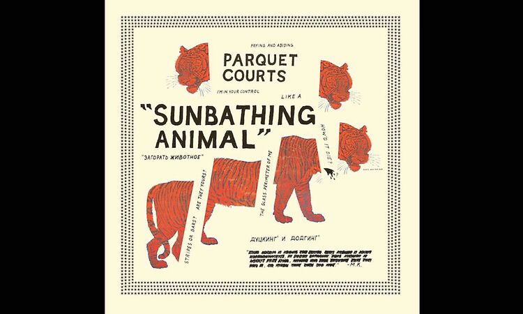 PARQUET COURTS - SUNBATHING ANIMAL [FULL ALBUM]