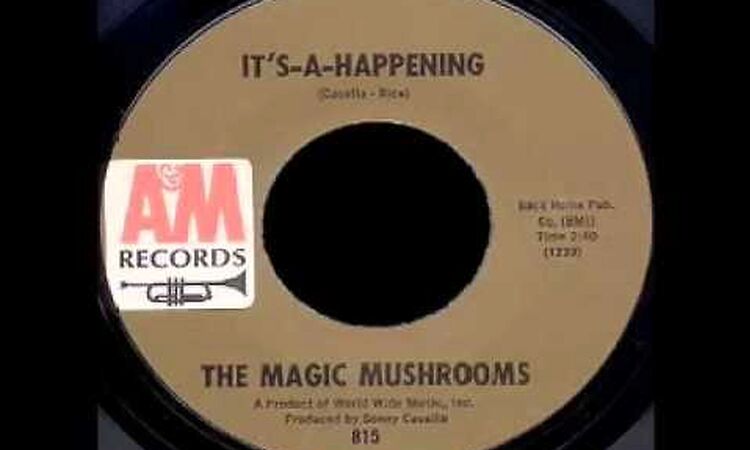 The Magic Mushrooms - It's A Happening