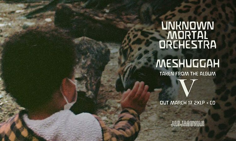 Unknown Mortal Orchestra "Meshuggah" (Official Audio)