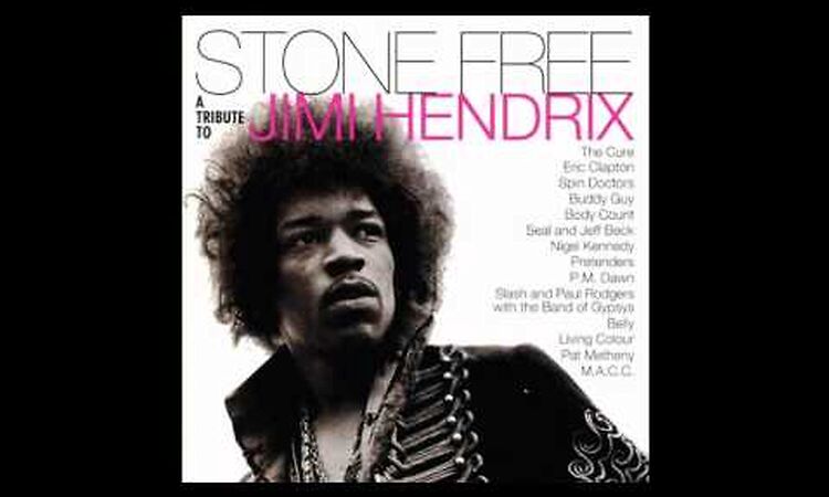 THIRD STONE FROM THE SUN / PAT METHENY (JIMI HENDRIX COVER)