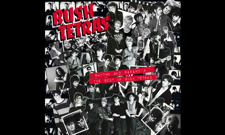 Bush Tetras - "Cutting Floor"