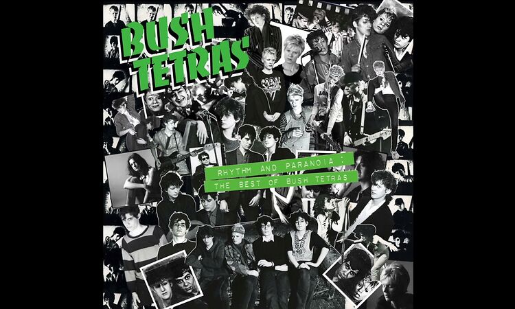 Bush Tetras - "Color Green"