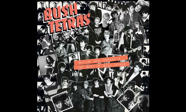 Bush Tetras - "Mr  Love Song (Alternate Version)"