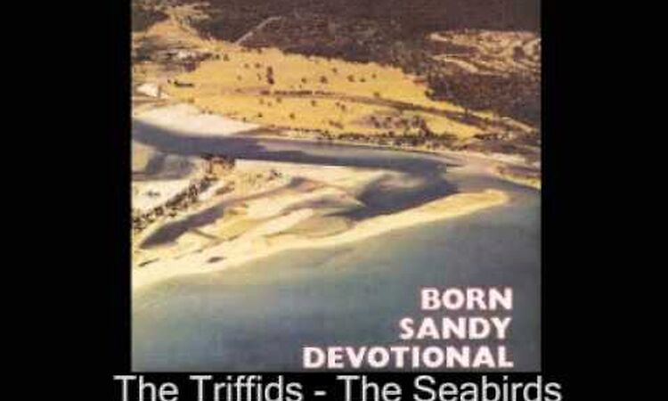 The Triffids - The Seabirds (1986)