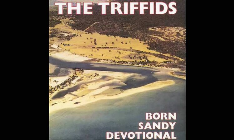 The Triffids - Personal Things