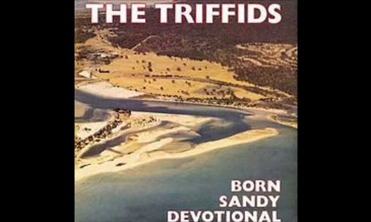 the triffids - stolen property